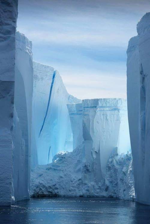Ice Wall 4 Antarctica, FEMemes