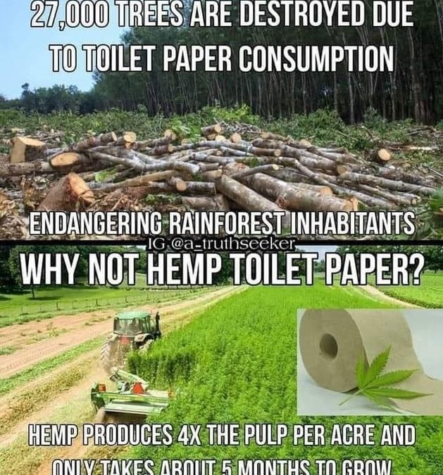 Hemp For Toilet Paper Instead of Trees