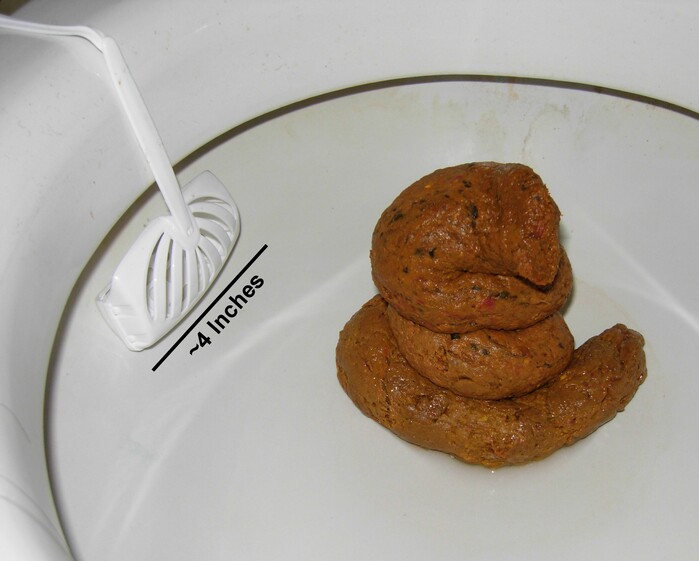 Poop in the Toilet – human Faces