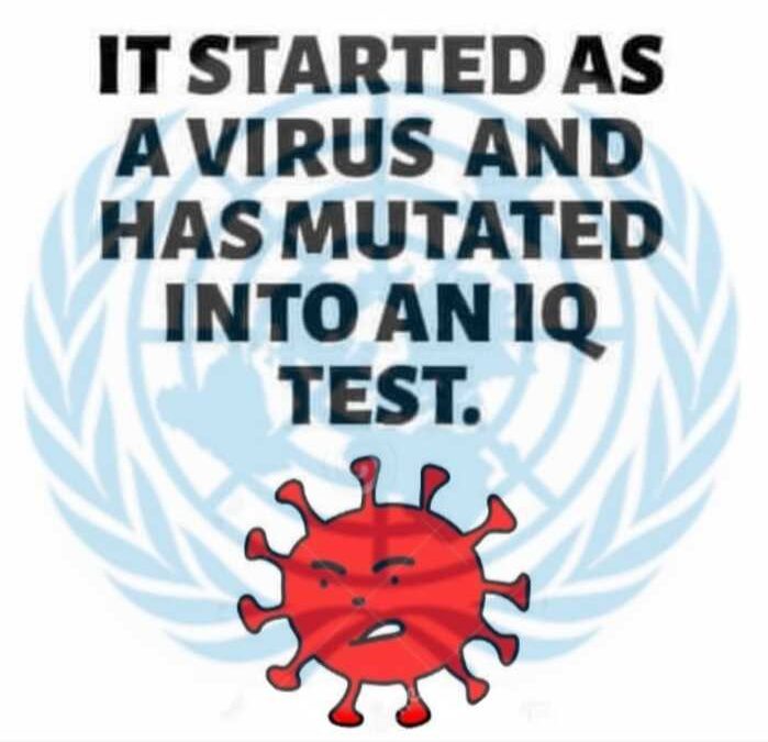 It started as a virus and has mutated into an IQ test