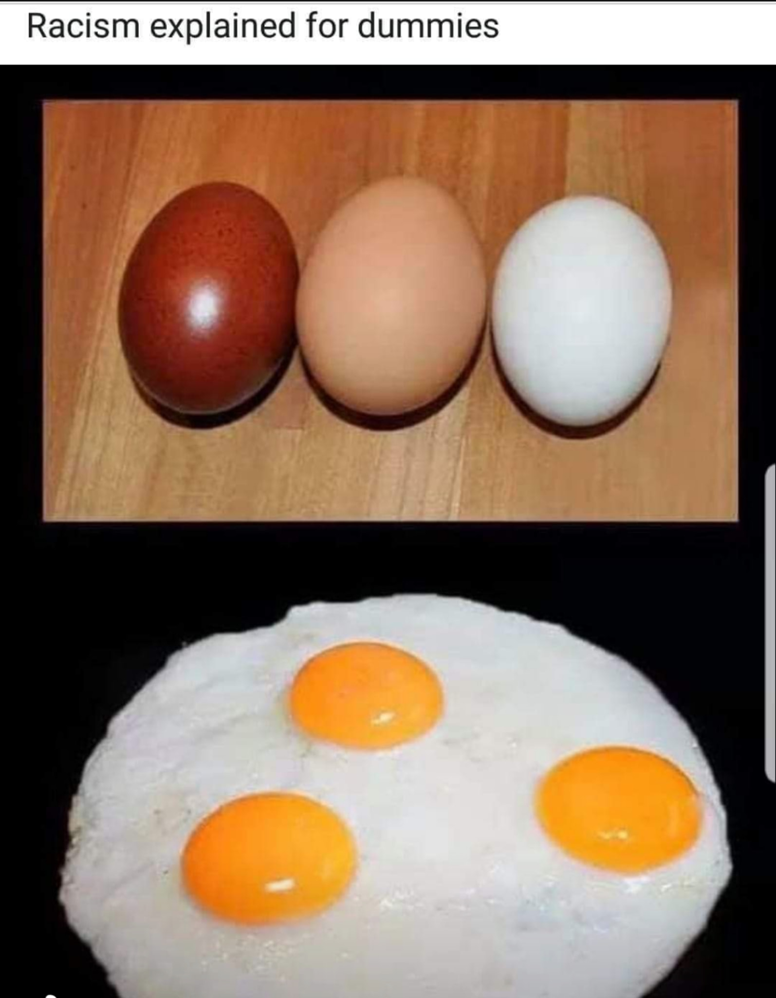 Racism Explained for Dummies : Three eggs example