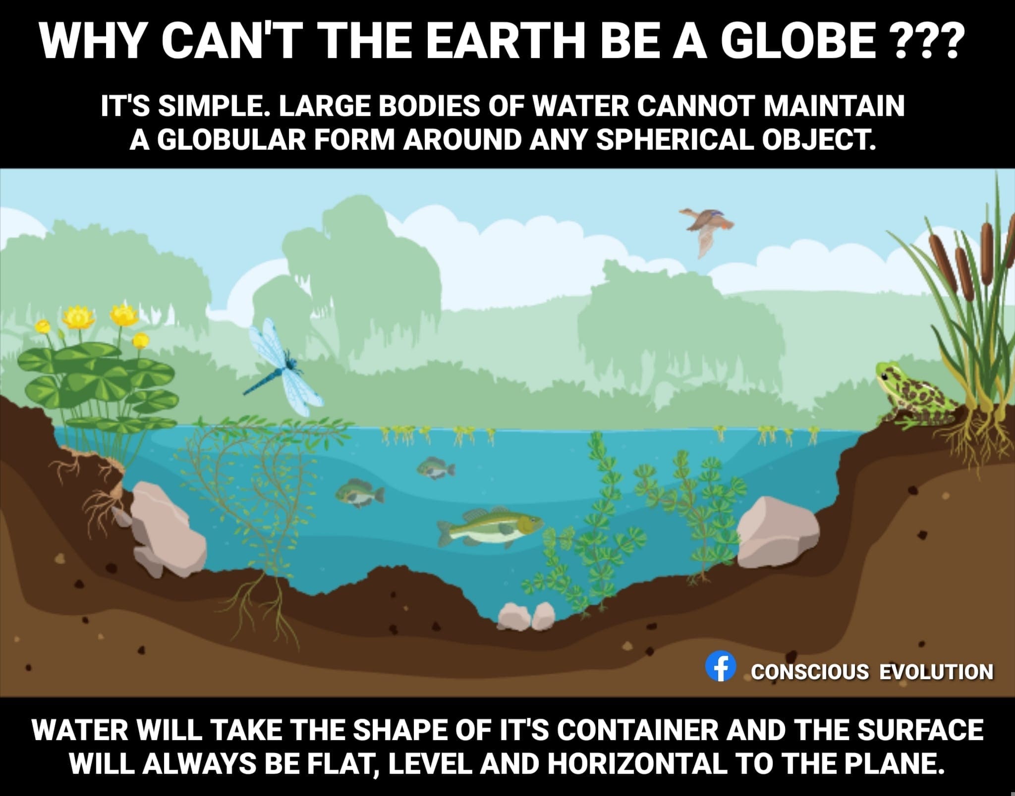 Why Cant Earth Be A Globe Large Bodies Of Water Can Not Maintain Globular Form