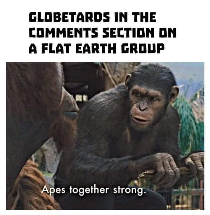 Globetards In The Comments Section On A Flat Earth Group Apes Together Strong