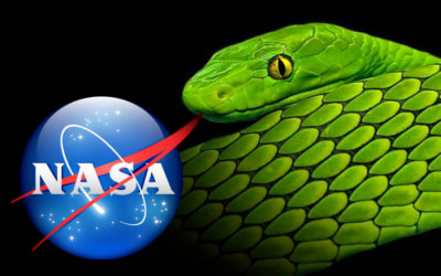 NASA Serpent, Forked Tongue, Icon, Logo