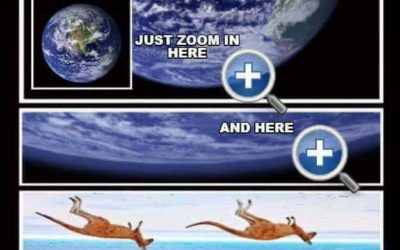 Upside Down Kangaroos Debunk Flat Earth FEMemes