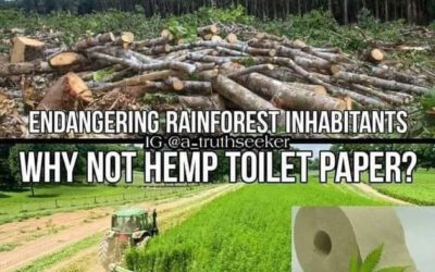 Hemp For Toilet Paper Instead of Trees