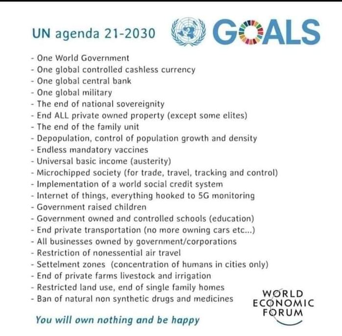 Agenda 2030 Meme