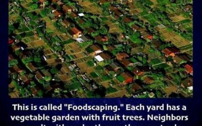 Each yard has a vegetable garden with fruit trees called “Foodscaping”