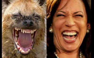 Kamala Harris Research Clones