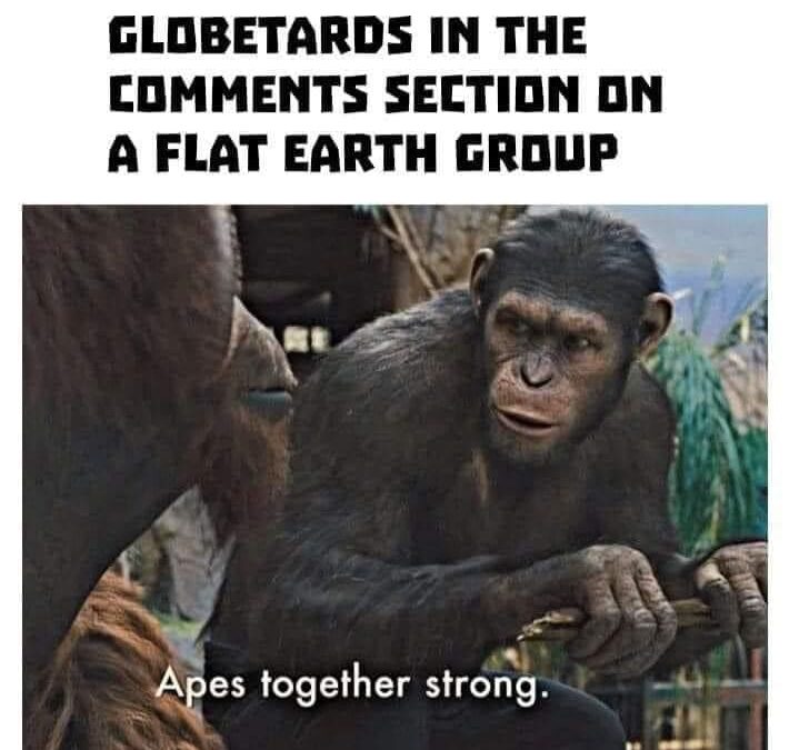 Globetards In The Comments Section On A Flat Earth Group Apes Together Strong