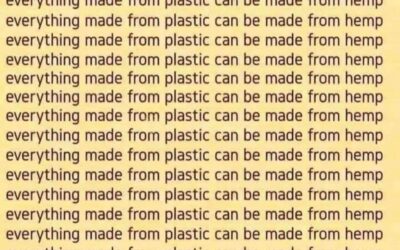 Everything Made From Plastic Can Be Made From Hemp Cannabis