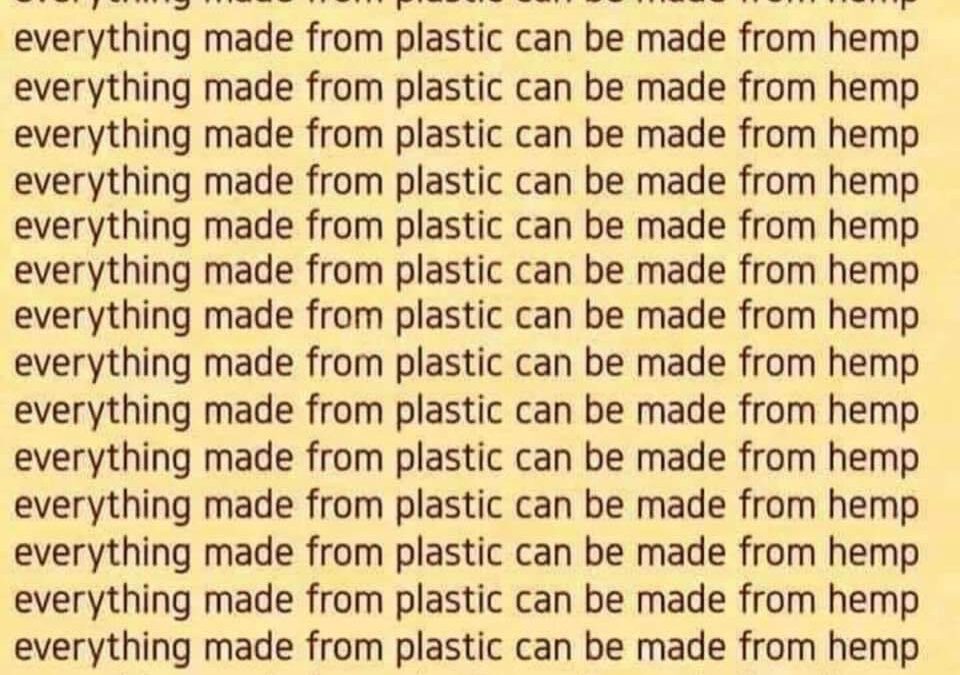 Everything Made From Plastic Can Be Made From Hemp Cannabis